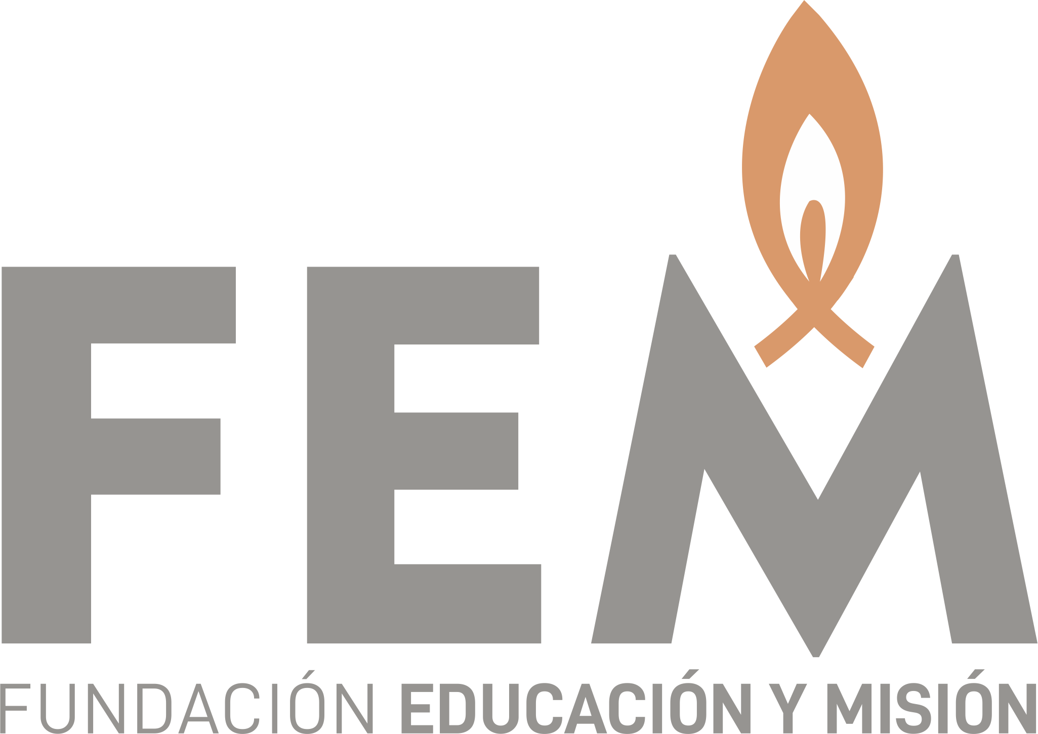 Fundación FEM